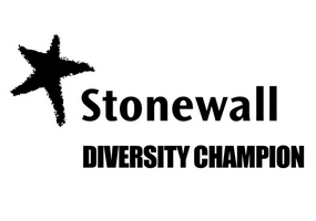 Stonewall diversity champion logo